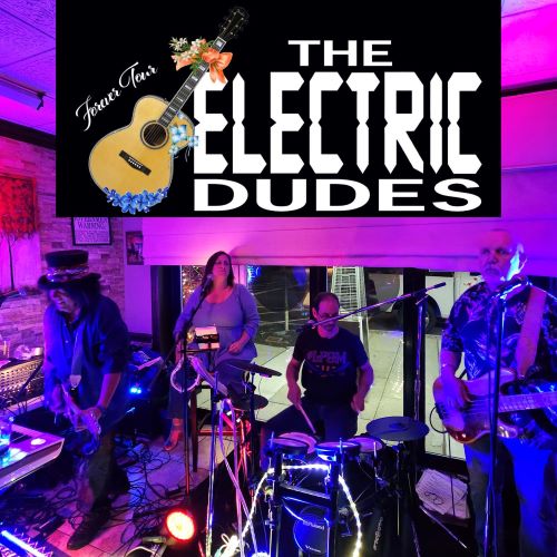 The Electric Dudes